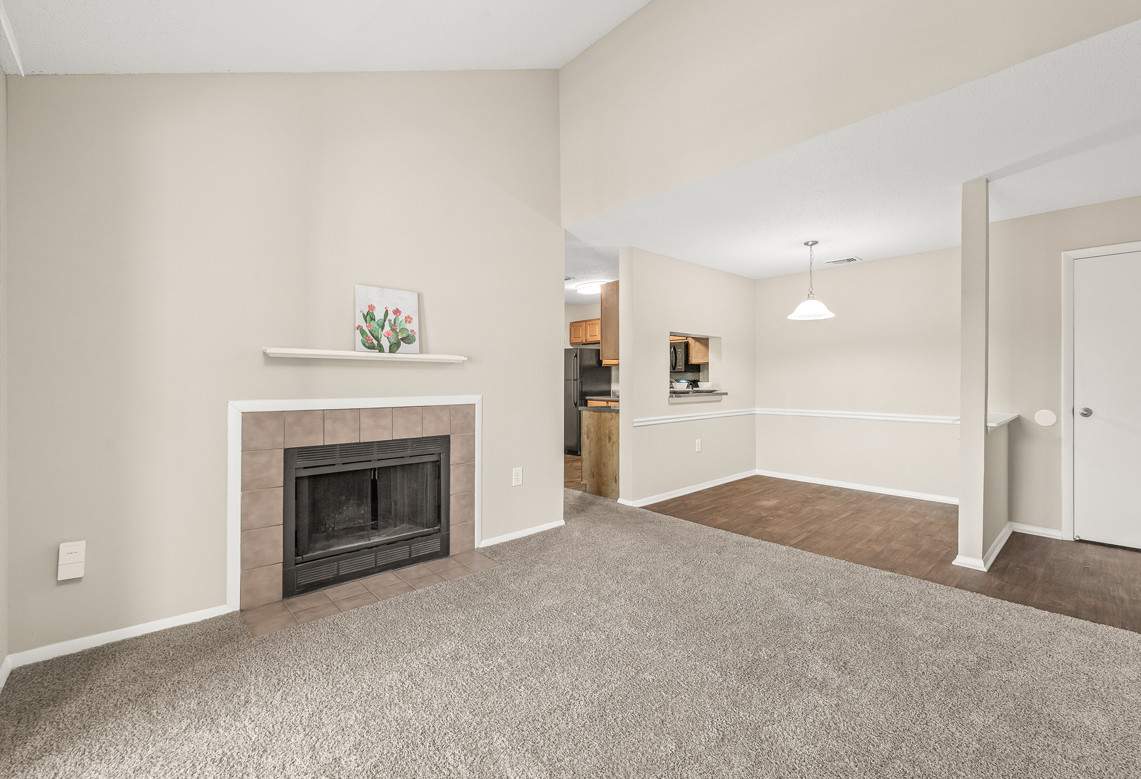 a clean, modern living room with a fireplace and a flat-screen TV, leading into a dimly lit kitchen with an oven and a microwave, and a dog enjoying the space